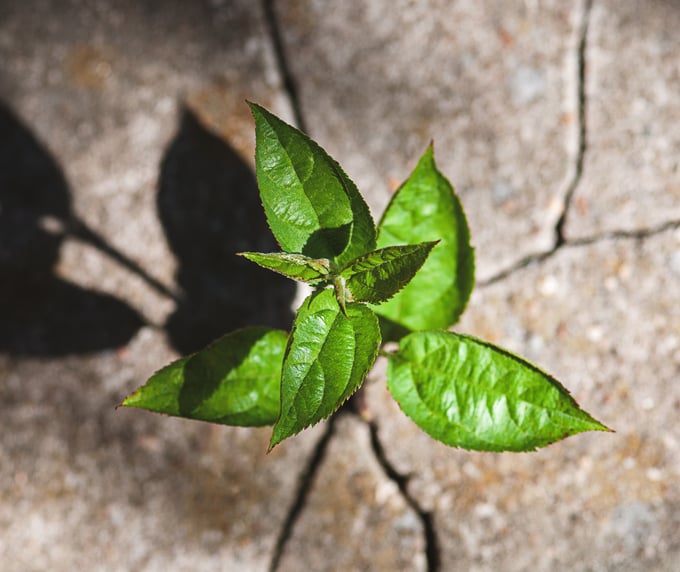 The Cascading Effect of Leaders Who Take Care of Themselves